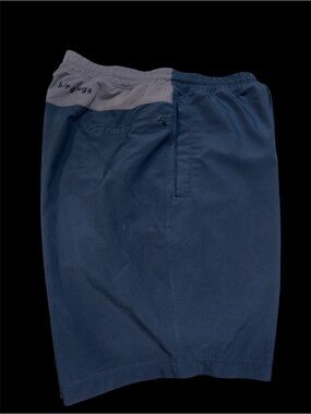 Birddogs Navy Shorts with Gray Inner Lining